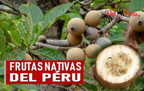 Frutas oriundas del Peru